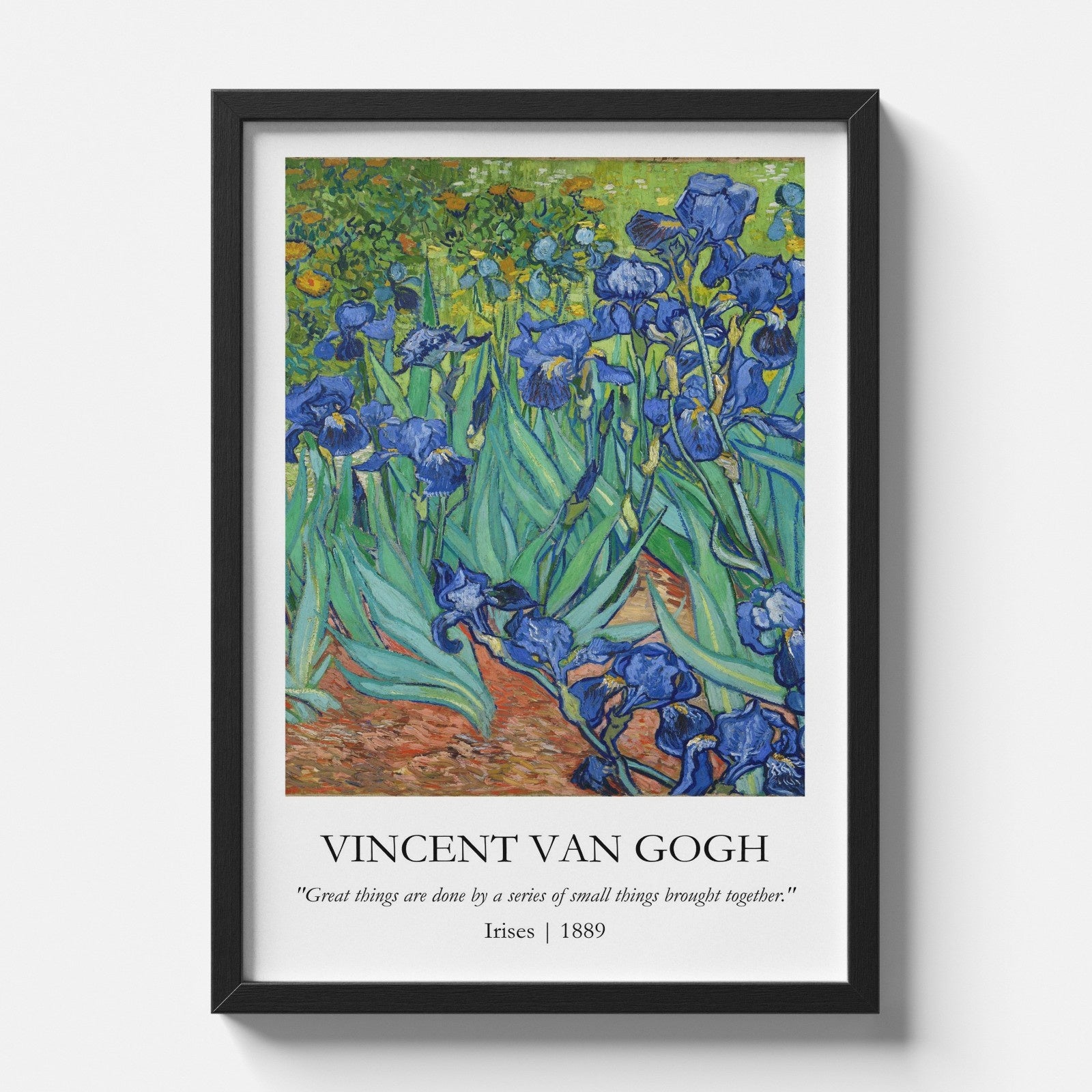 Vincent Van Gogh - Irises Painting Poster