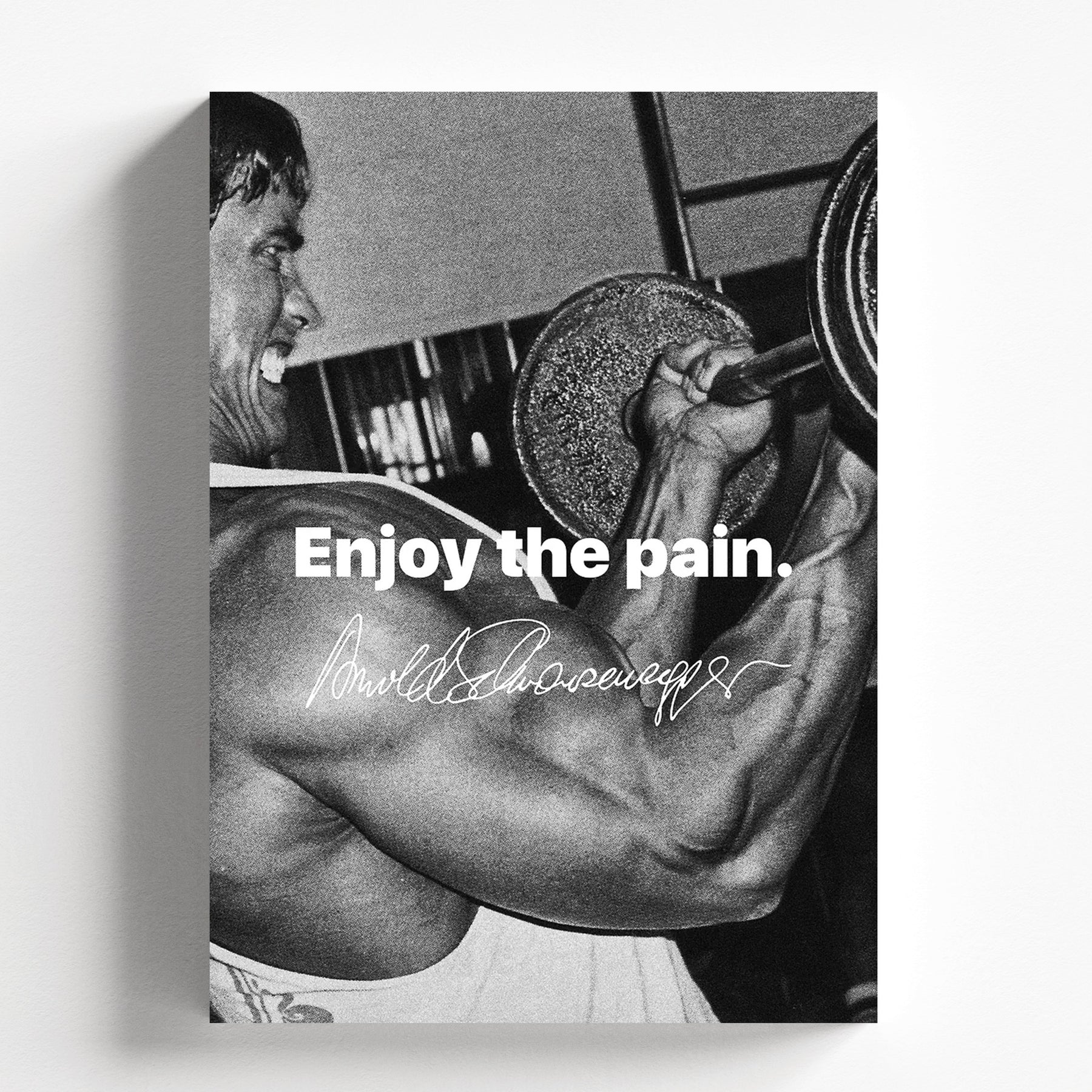 Arnold Schwarzenegger Enjoy The Pain Gym Motivational Poster
