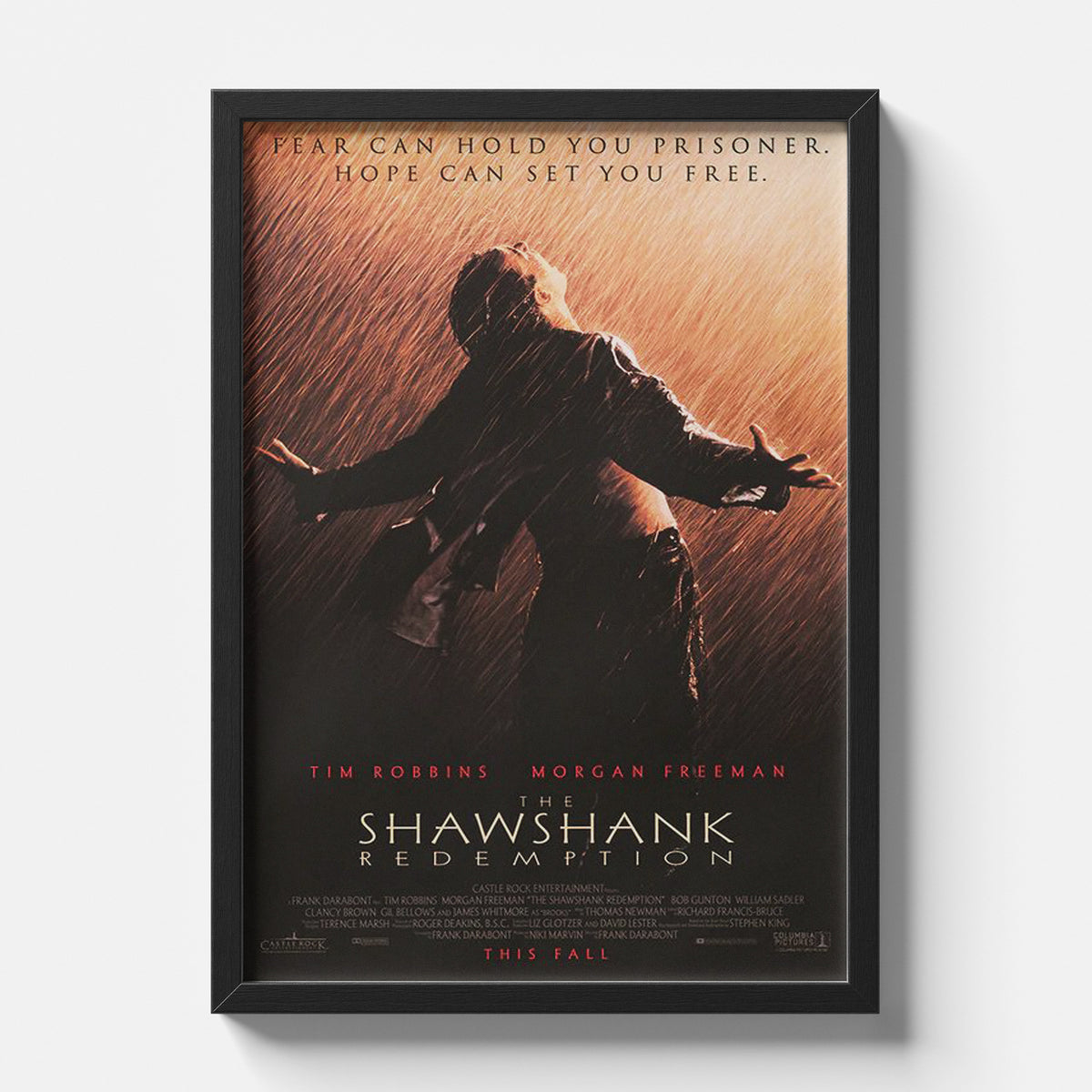 Shawshank Redemption Hope Freedom Cinematic Movie Poster