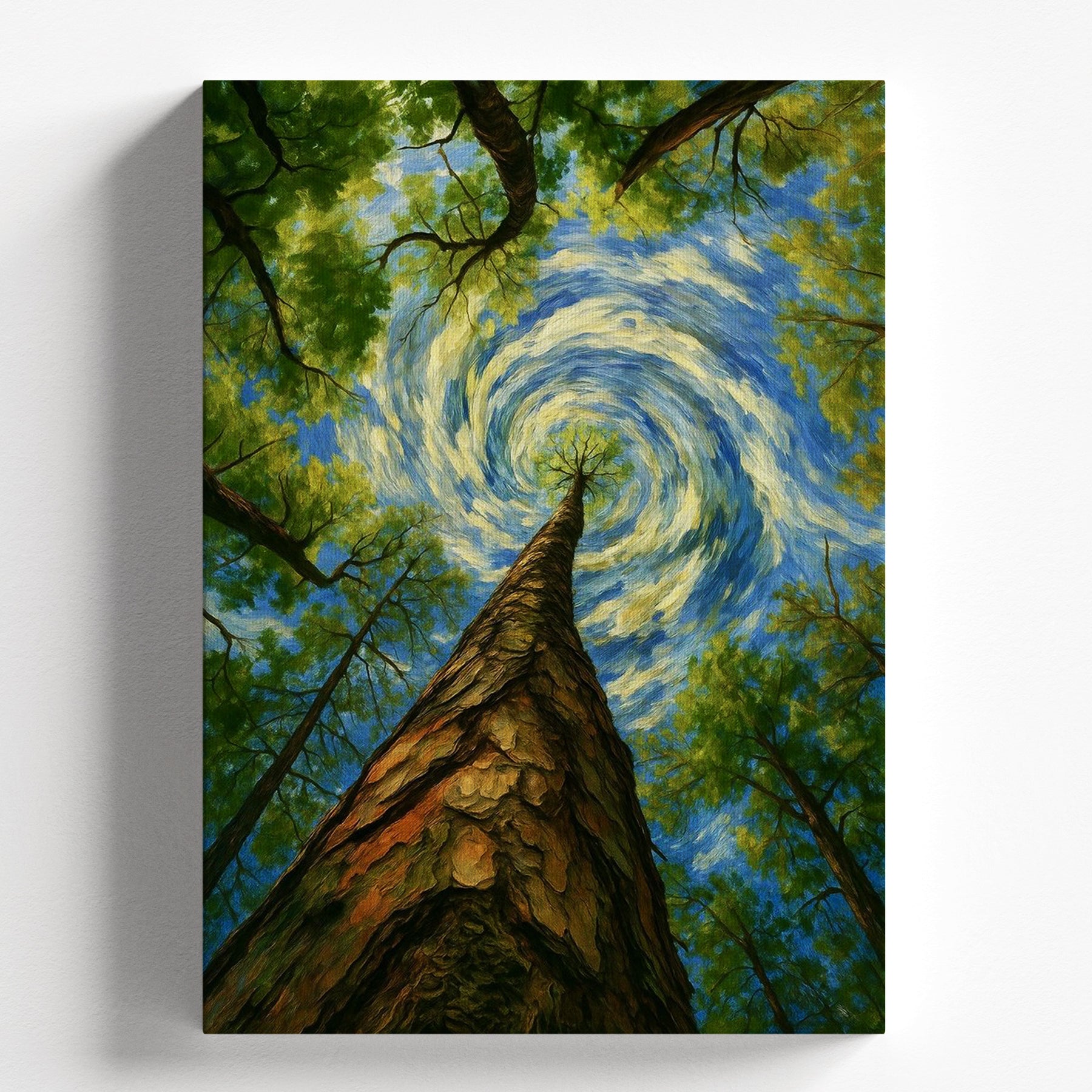 Swirling Sky Looking Up Trees